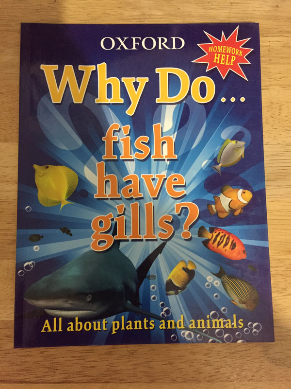 Why Do Fish Have Gills ? - Vinted