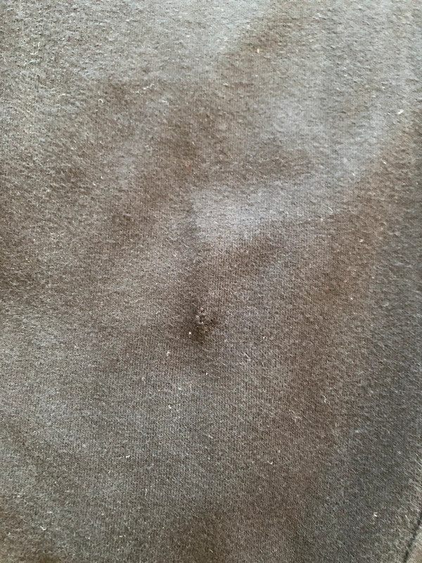 Legging grossesse - photo numéro 4