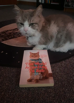 The Wold According To Bob book, condition: New without tags, £1.50, £2.28 includes Buyer Protection