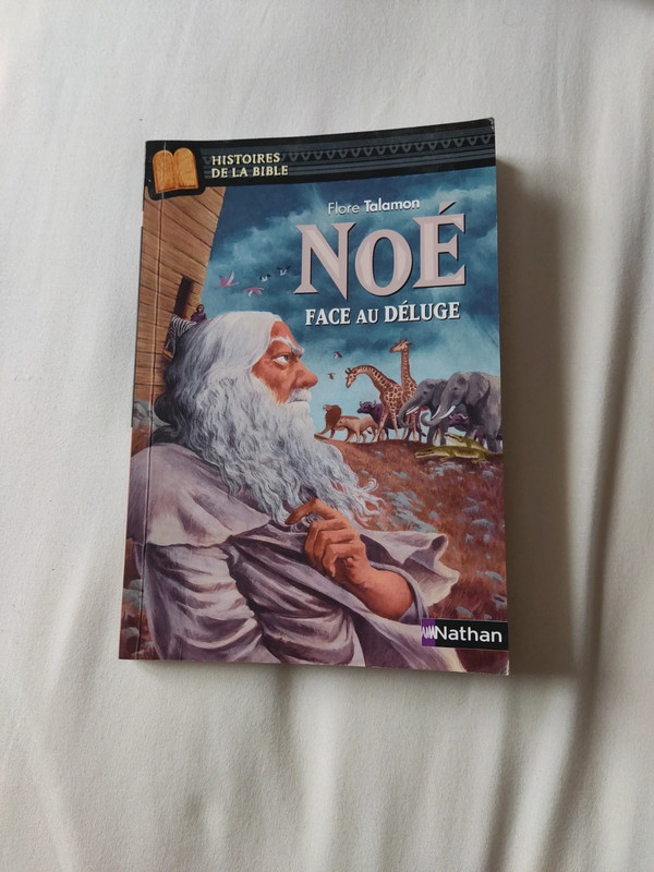 Noé face au déluge de Flore Talamon Vinted Noé face au déluge de Flore Talamon Vinted