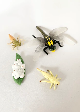 Cycle de vie de la Libellule Montessori, marque: Montessori, état: Très bon état, taille: Taille unique, 7,99 €, 9,09 € Protection acheteurs (Pro) incluse