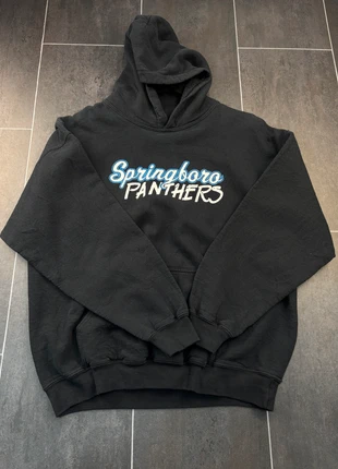 Pull US Springboro Panthers L (J429), brand: US, condizioni: Ottime, taglia: L, €17.99, €19.59 include la Protezione acquisti Pro