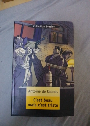 C'est beau mais c'est triste, état: Très bon état, 1,00 €, 1,75 € Protection acheteurs incluse