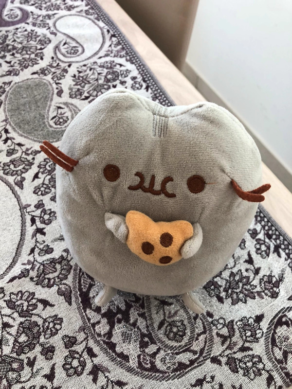 Ciabatte pusheen clearance