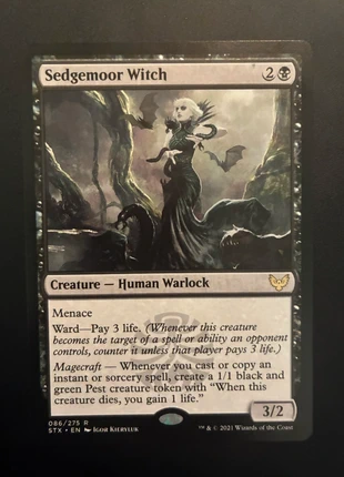 Sedgemoor Witch , Strixhaven mtg, marca: Magic: The Gathering, estado: Muy bueno, 2,00 €, 2,80 € Protección al comprador incluida