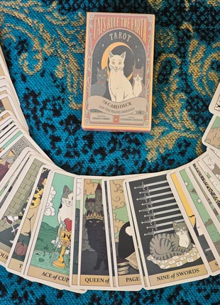 Tarocchi con gatti esoterici • 78 carte nuove • Stile occulto witch • In scatolina, marca: Tarocchi con gatti esoterici • 78 carte, estado: Novo com etiquetas, €11.50, €12.78 inclui Proteção do Comprador