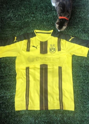 Maillot Dortmund, brand: Borussia Dortmund, condition: Very good, size: L, €30.00, €32.20 includes Buyer Protection