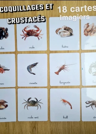 18 imagiers sur les coquillages et crustacés/ cartes de nomenclature, brand: imagiers, cartes de nomenclature, condition: Very good, size: 4 years / 104 cm, €9.95, €11.15 includes Buyer Protection Pro