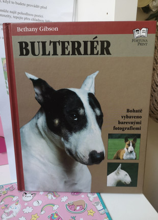 Obrázek k inzerátu: Bulterier