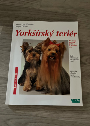 Obrázek k inzerátu: Yorkšírský teriér