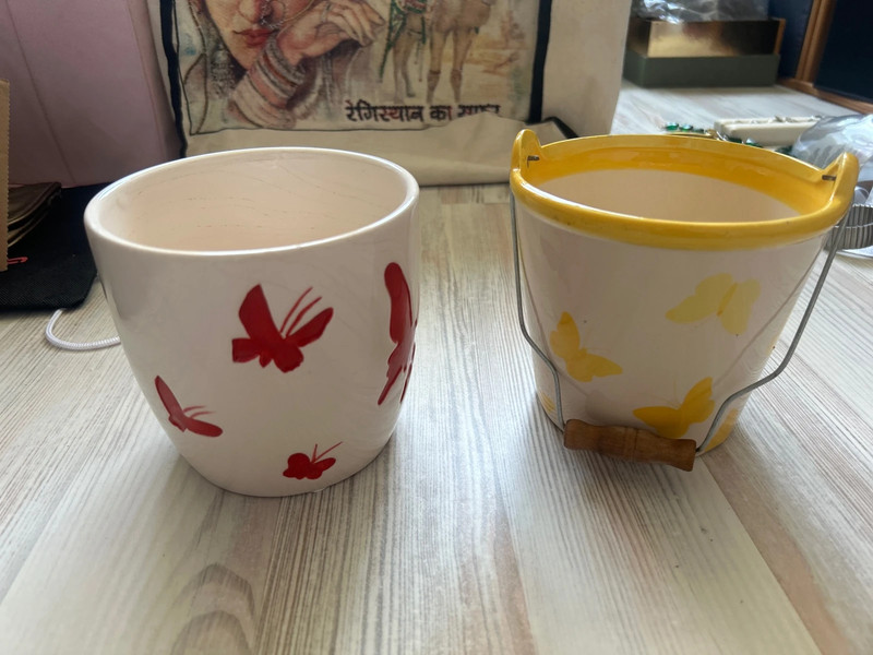 2 Blumen Töpfe