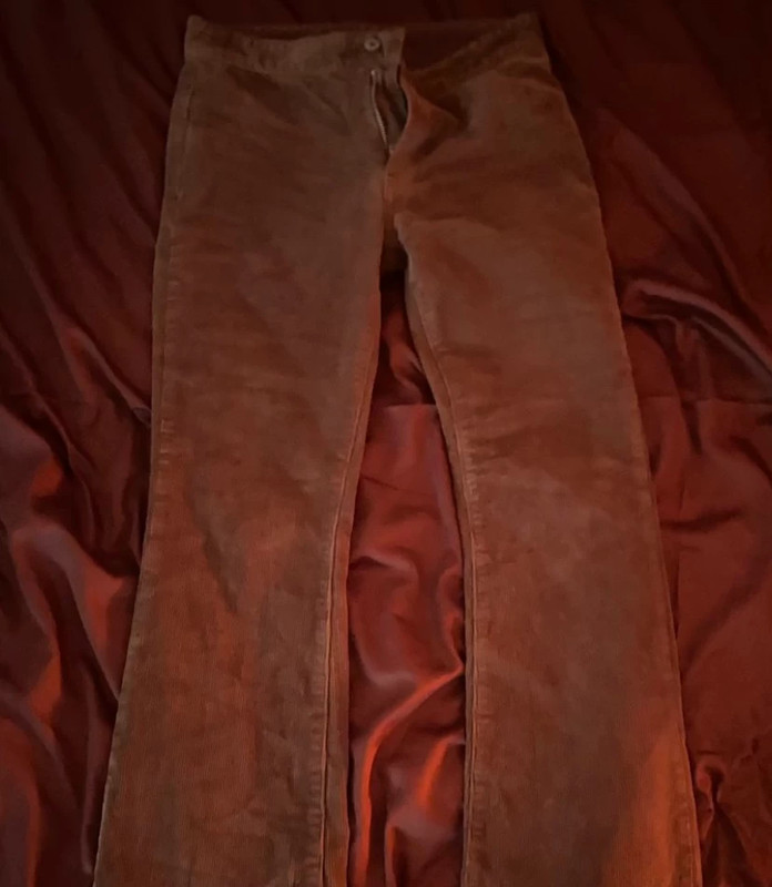Brandy Melville brown aliyah corduroy pants