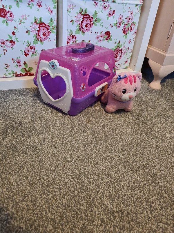 Toy kitten carrier Vinted