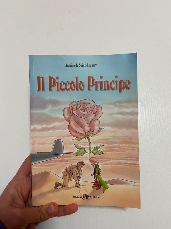 libro “il piccolo principe”