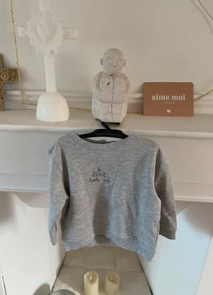 Sweat neuf avec étiquette taille 12 mois tex, merk: TEX, staat: Nieuw met prijskaartje, maat: 9-12 maanden / 74 cm, € 2,40, € 3,22 inclusief Kopersbescherming