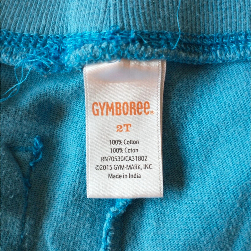 2T Gymboree Toddler Shorts Blue 3