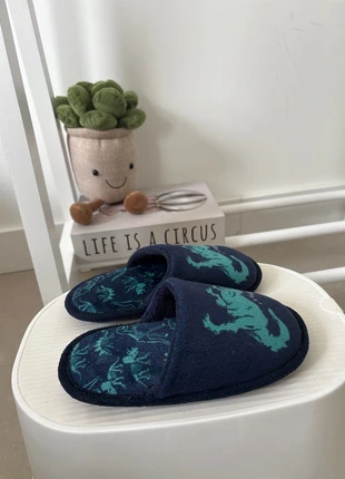 Pantoffels dinosaures, staat: Heel goed, maat: 28, € 1,50, € 2,28 inclusief Kopersbescherming