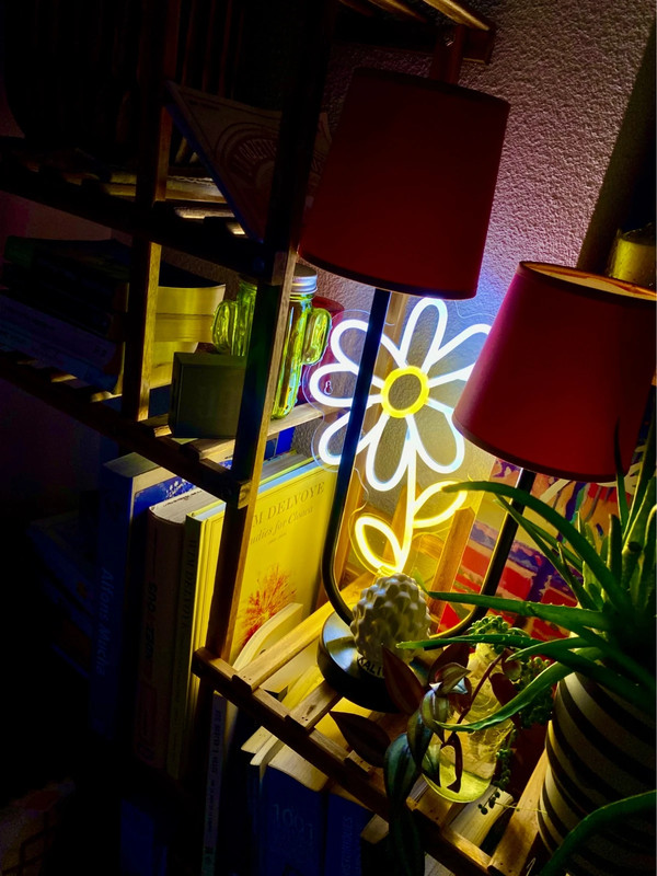 Néon lumineux marguerite