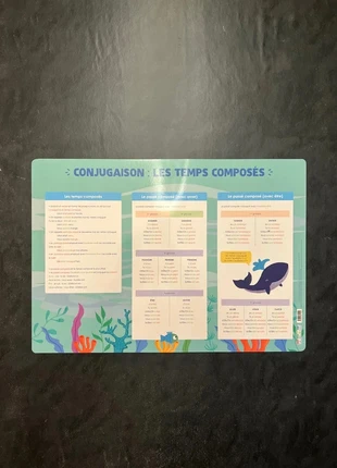 Poster - conjugaison des temps composés, état: Neuf avec étiquette, 2,50 €, 3,33 € Protection acheteurs (Pro) incluse