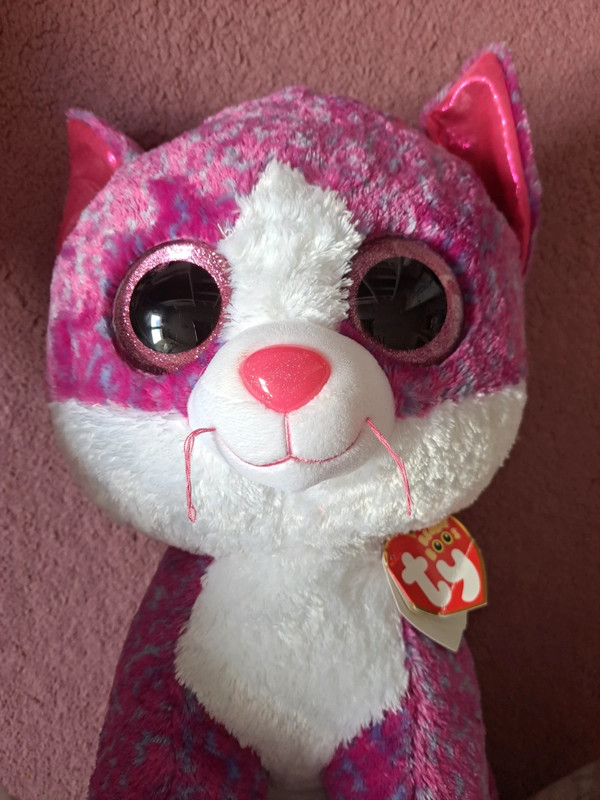 Charlotte the best sale cat beanie boo