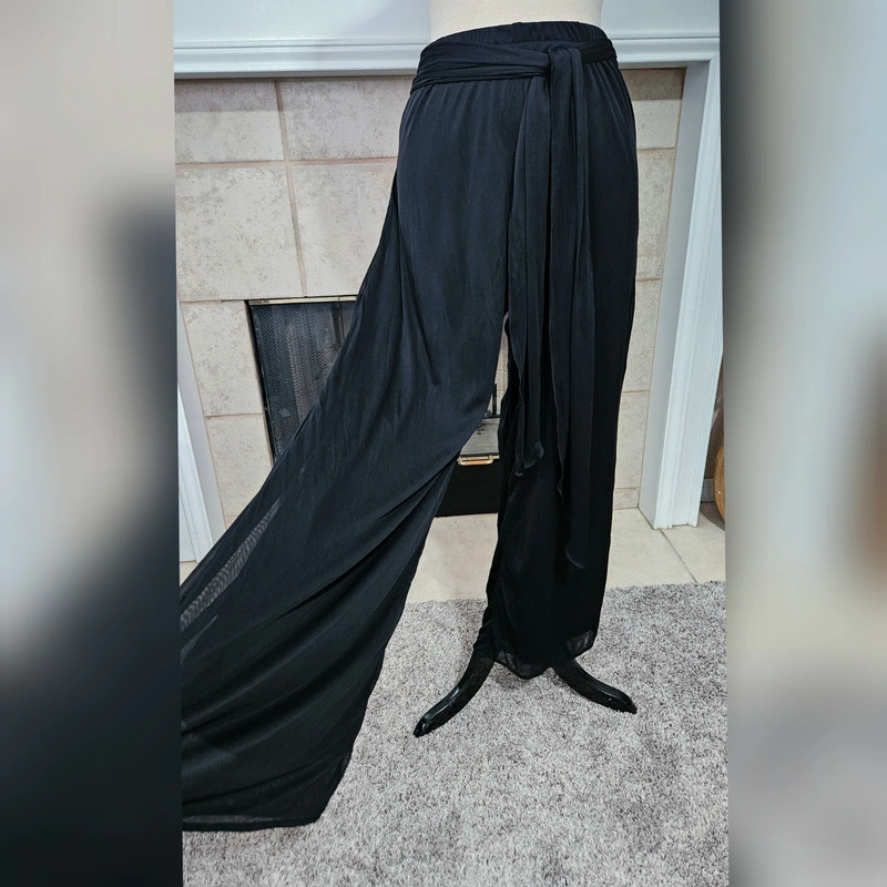 Onyx Nite by Wendy Chaitin Black Sheer Overlay Pants 2