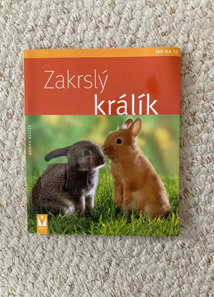 Obrázek k inzerátu: Zakrslý králík