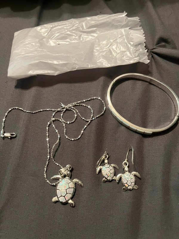 Silver Turtle jewelry set 1