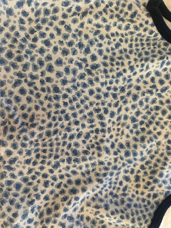 Brandy Melville Blue Cheetah Tank 2