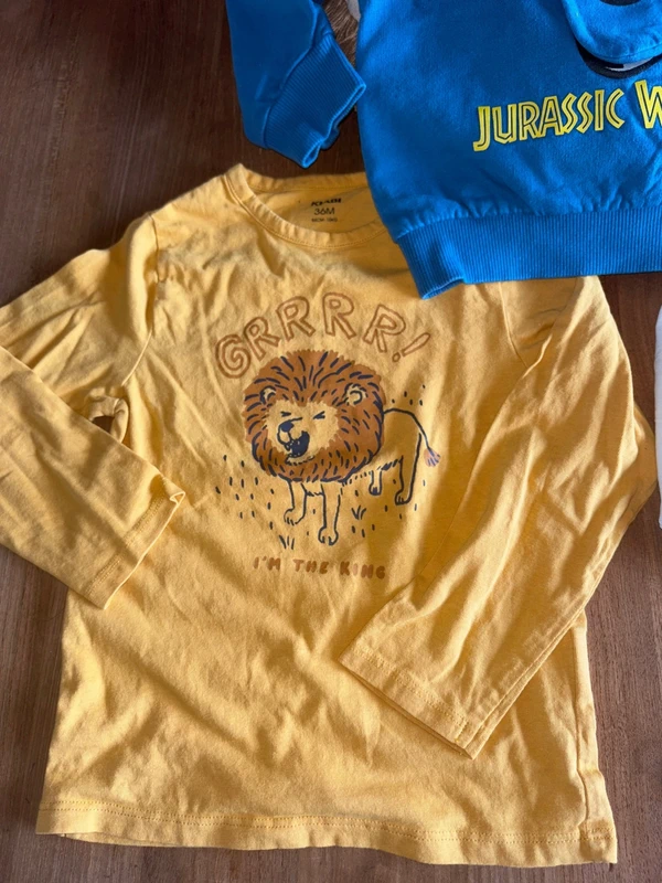 Lot de 4 tee shirt manche longue et un pull taille 36 mois - photo numéro 9