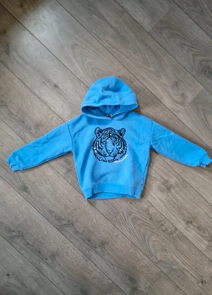 Blauwe trui met capuchon, merk: WE, staat: Nieuw zonder prijskaartje, maat: 5 jaar / 110 cm, € 3,50, € 4,38 inclusief Kopersbescherming