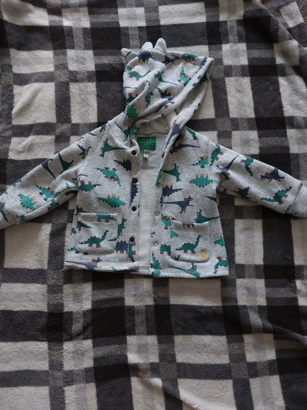 Joules clearance dinosaur hoodie