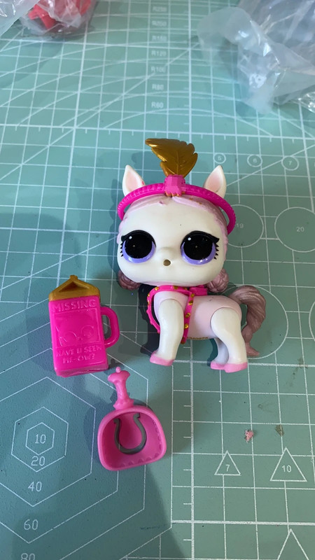 Lol pets the aussi pony