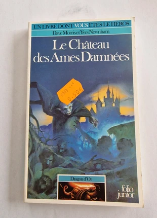 Le Château des Ames Damnées - Livre dont vous êtes le héros, état: Très bon état, 14,00 €, 15,40 € Protection acheteurs incluse