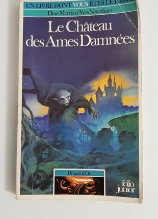 Le Château des âmes damnées, état: Bon état, 14,00 €, 15,40 € Protection acheteurs incluse