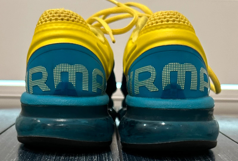 Nike Air Max Fit Sole Vinted