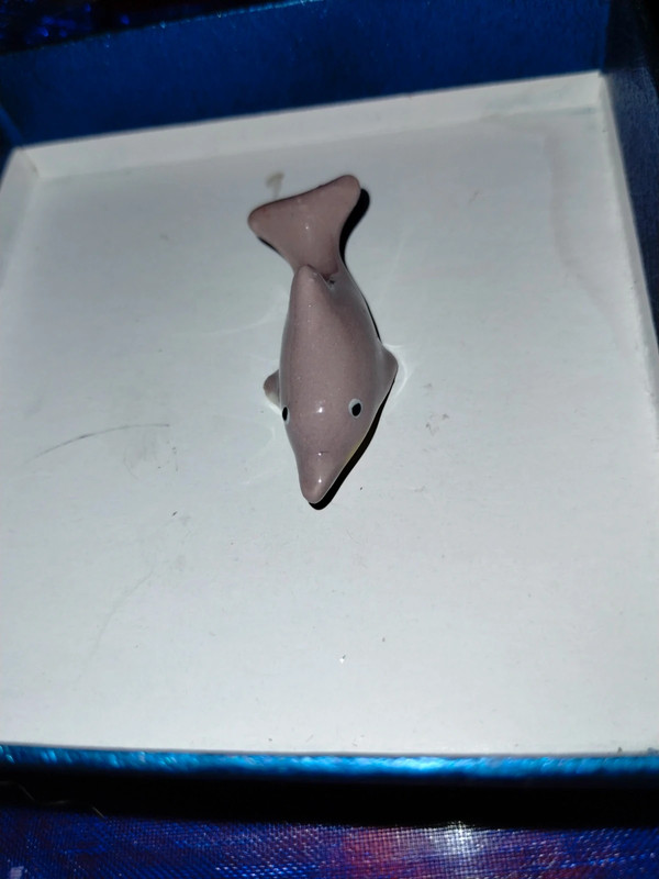 Cute and adorable small display dolphin