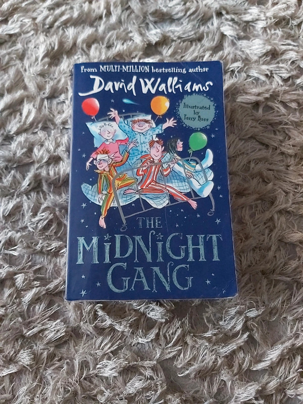 The Midnight Gang David Walliams Book Vinted 7845