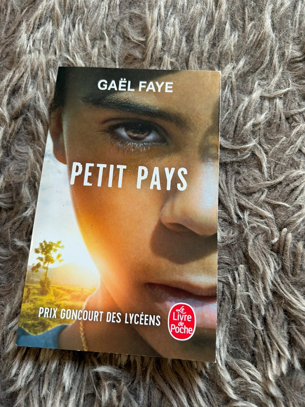 Livre petit pays 1