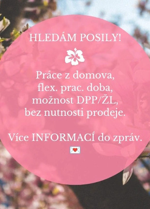 Obrázek k inzerátu: Práce z domova pro šikovné maminky