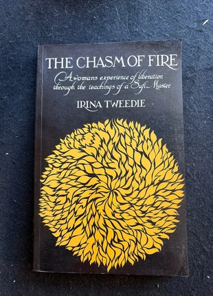 The chasm of fire, état: Satisfaisant, 6,00 €, 7,00 € Protection acheteurs incluse