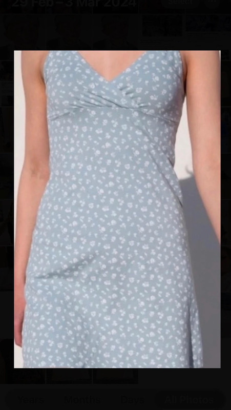 Brandy Melville - Amara Floral Dress Blue on Designer Wardrobe