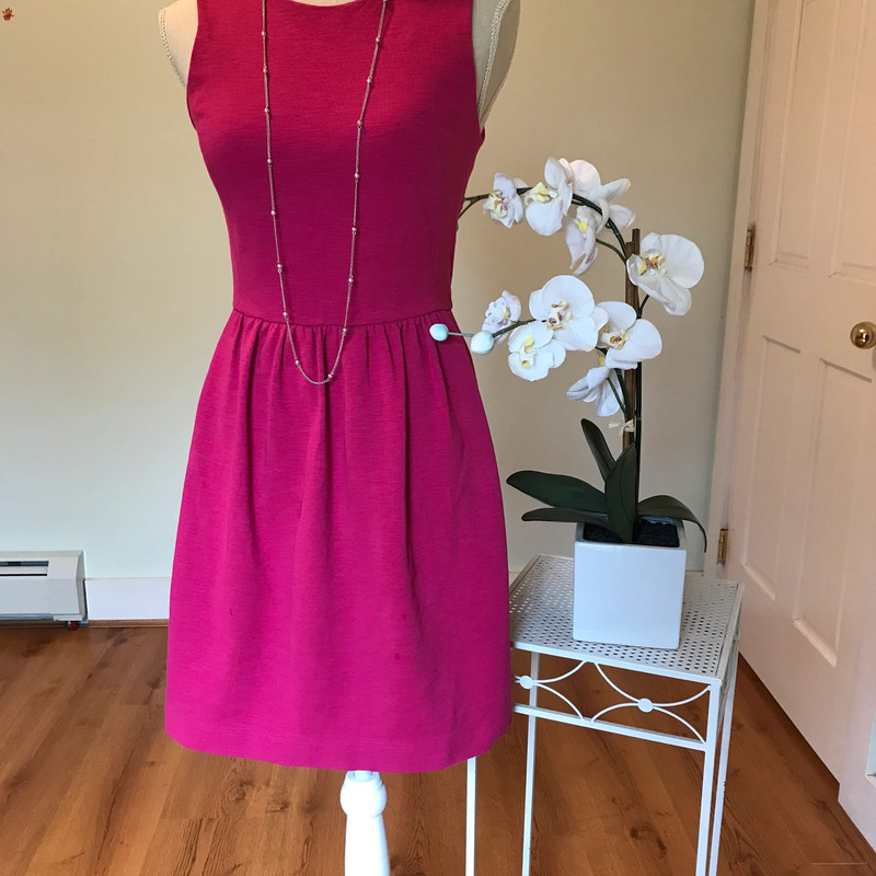 J.Crew Sleeveless Dress 2