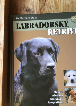 Obrázek k inzerátu: Labrador