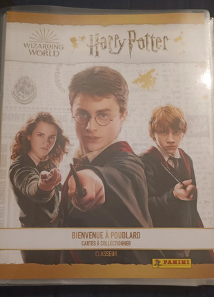 Carte Édition Limitée Panini Harry Potter Bienvenue À Poudlard France Lot  Rare