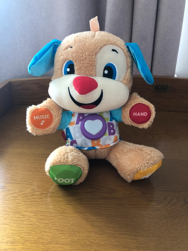 Fisher price interactive bear