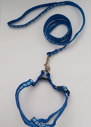 Nuovo Set Pettorina Guinzaglio XS Gatto,Cane piccola taglia,Blu,Regolabile, merk: NO LABEL, staat: Nieuw zonder prijskaartje, € 4,00, € 4,90 inclusief Kopersbescherming