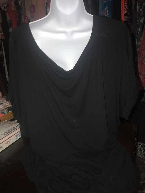 Size 22-24 Avenue SS glitter top 2