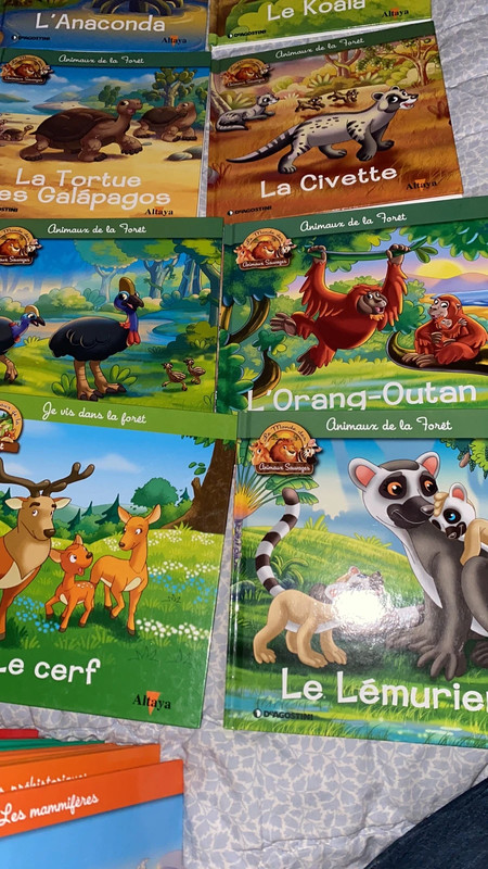 Kit “les animaux de la forêt” 