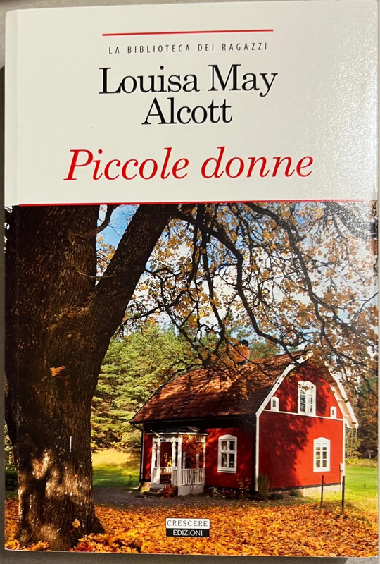 Libro “Piccole donne” di Louisa May Alcott