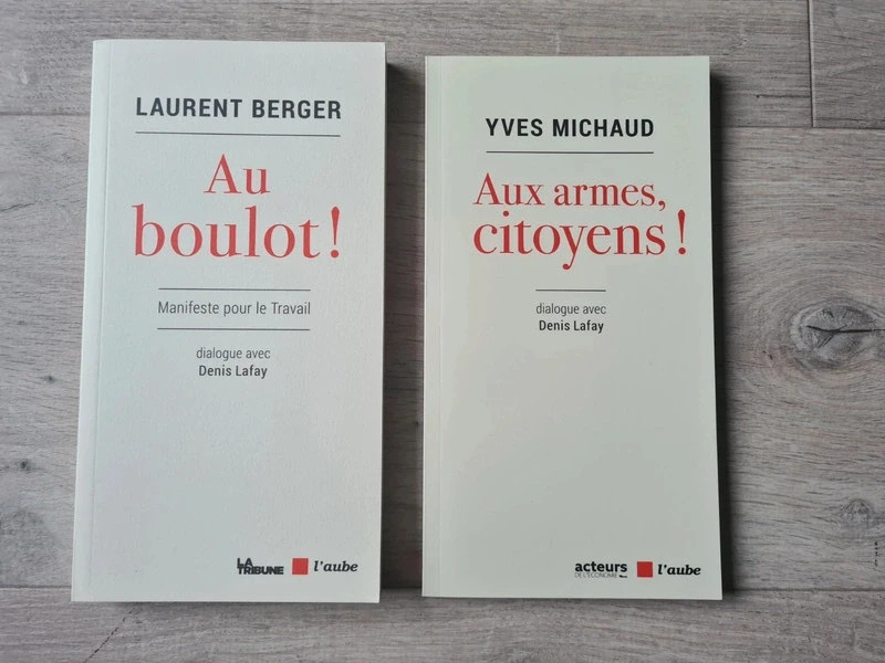 2 livres de Laurant Berger et Yves Michaud 1